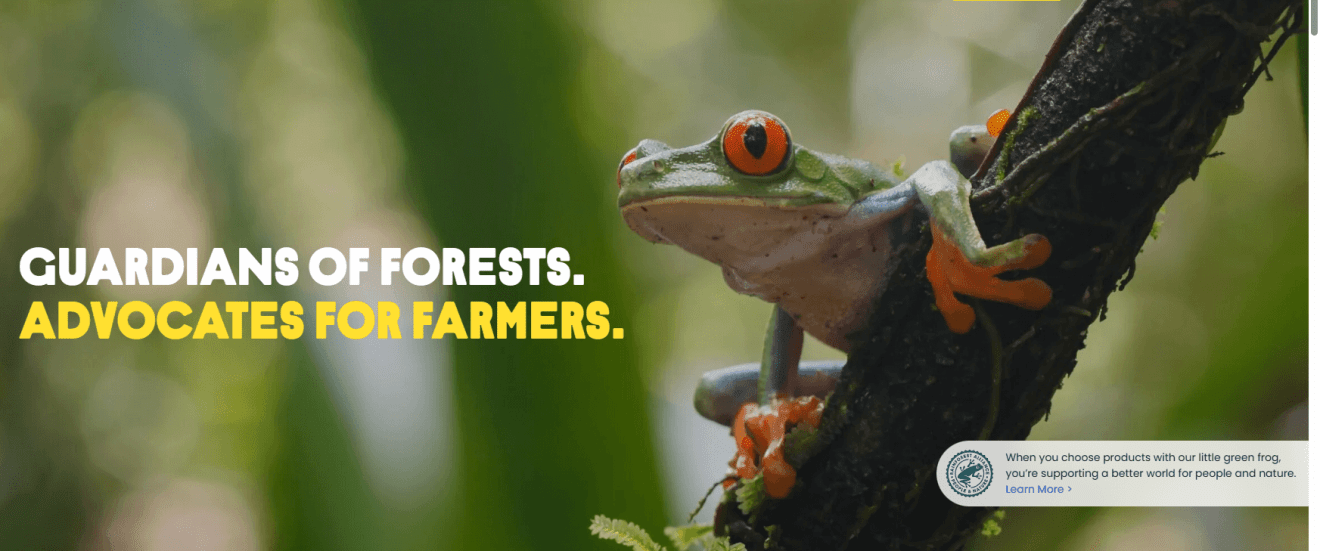 Savis Tea Achieves Rainforest Alliance Certification, Reinforcing Its Commitment to Sustainability